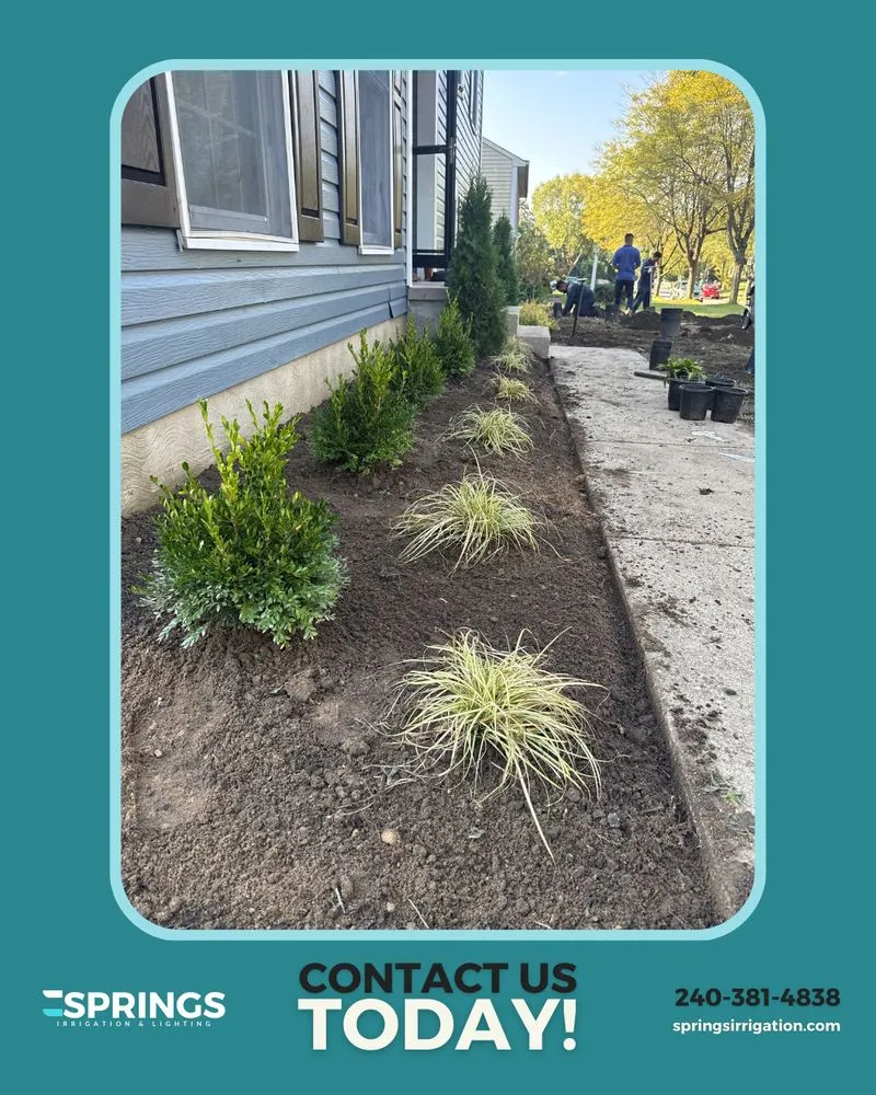 Top-rated outdoor landscaping experts serving Severn, MD - Springs Irrigation & Lighting