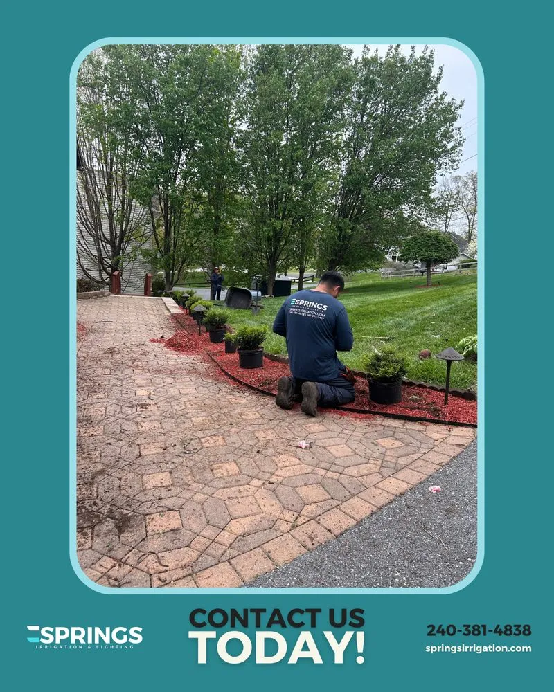 Affordable yard cleanup service for year-round maintenance in Severn, MD by Springs Irrigation & Lighting