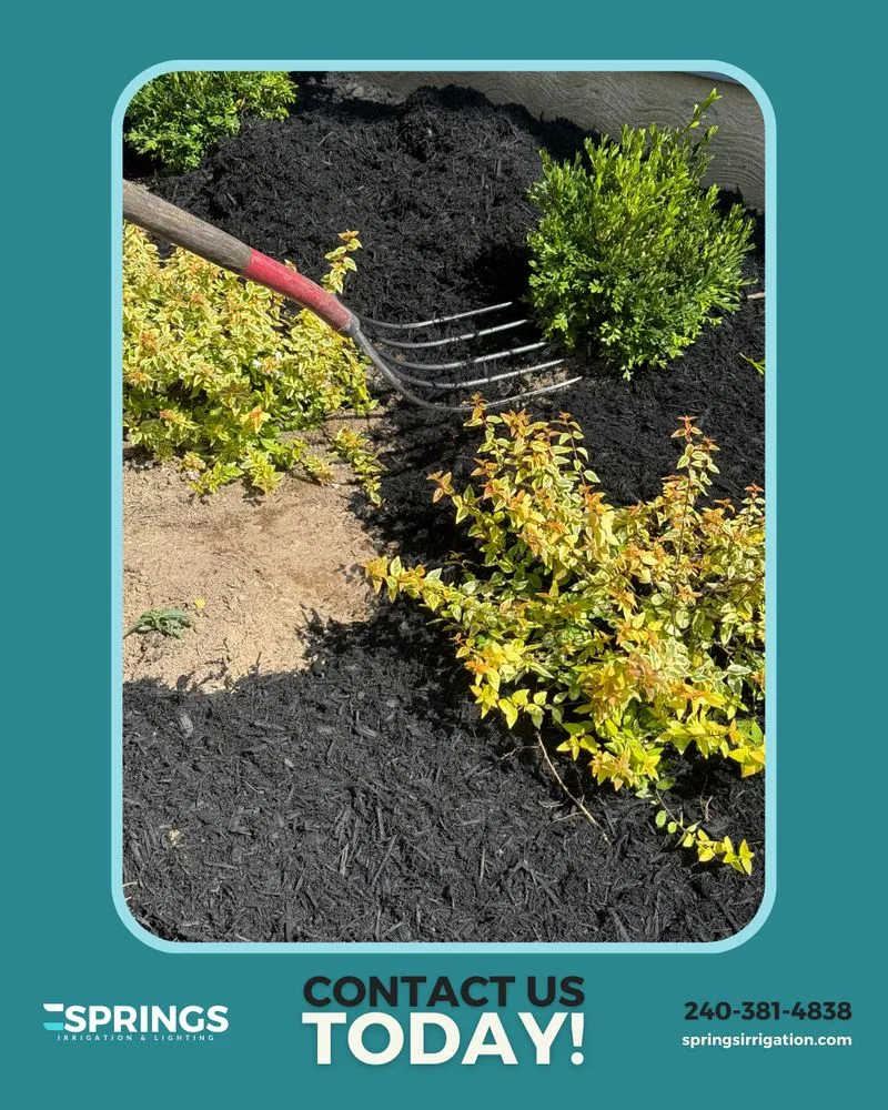 Local outdoor landscaping for outdoor upgrades in Severn, MD by Springs Irrigation & Lighting