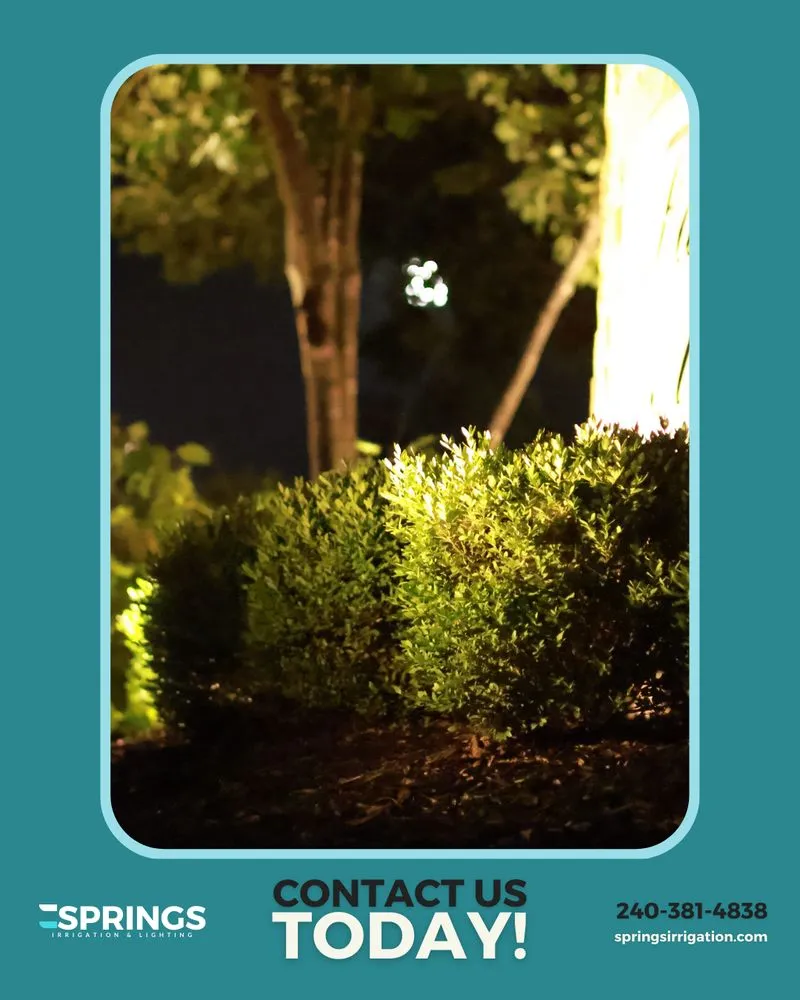 Affordable landscape installation experts serving Severn, MD - Springs Irrigation & Lighting