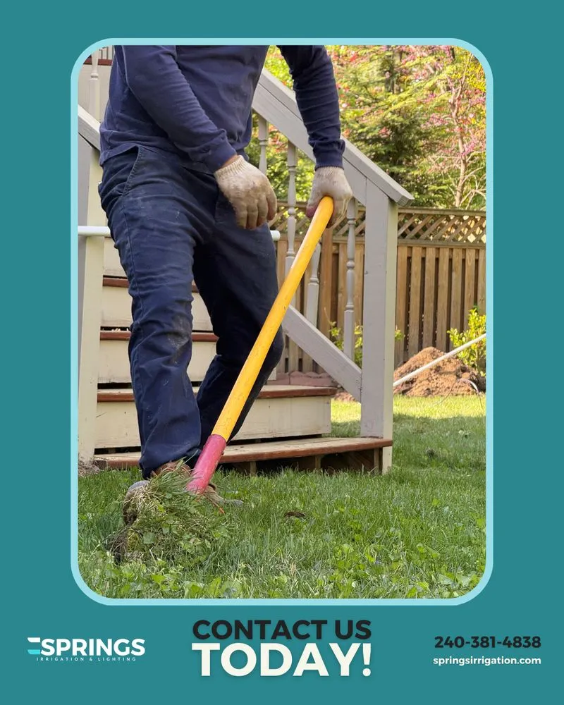 Local yard cleanup service in Severn, MD by Springs Irrigation & Lighting