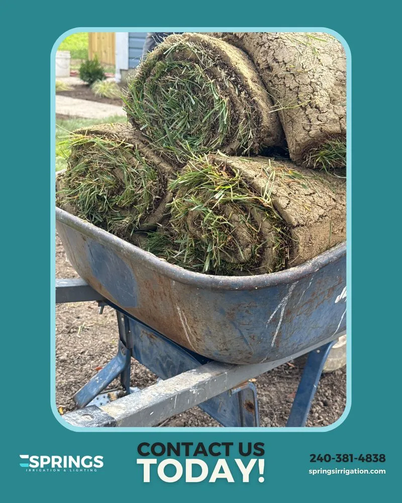 Expert residential landscaping experts serving Severn, MD - Springs Irrigation & Lighting