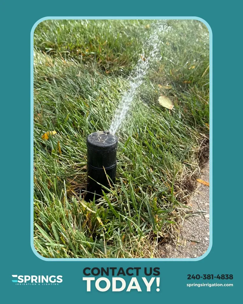 Trusted yard cleanup service in Severn, MD - Springs Irrigation & Lighting