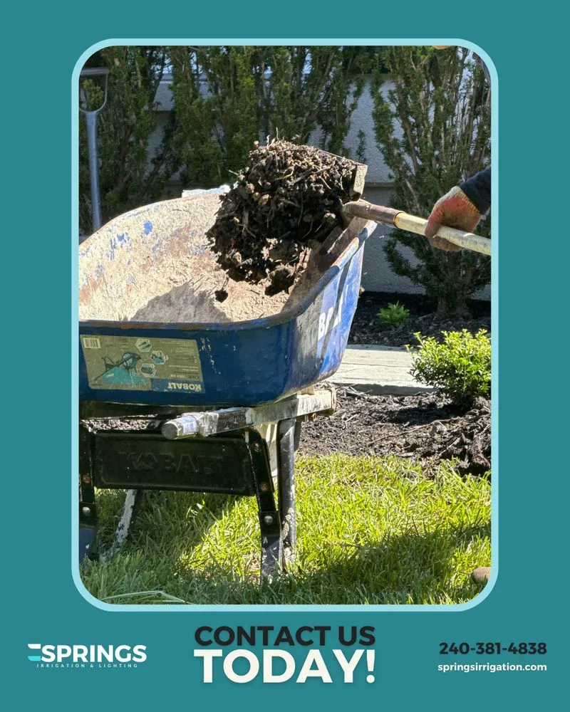 Professional garden landscaping for year-round maintenance across Severn, MD - Springs Irrigation & Lighting