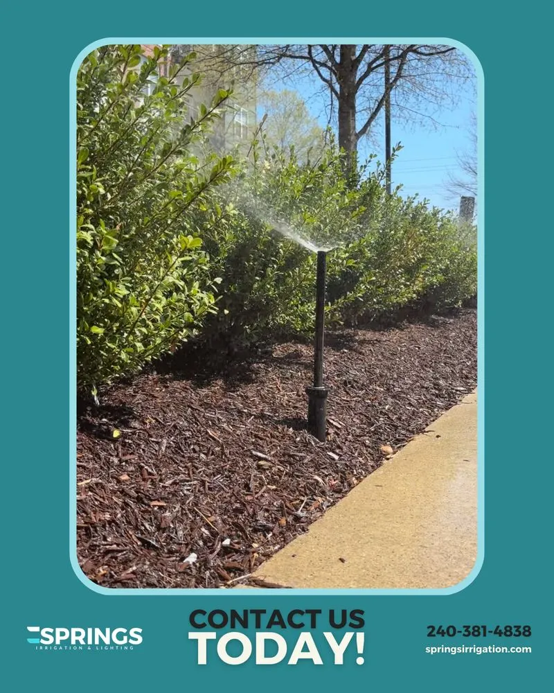 Expert landscape installation with custom design in Severn, MD by Springs Irrigation & Lighting