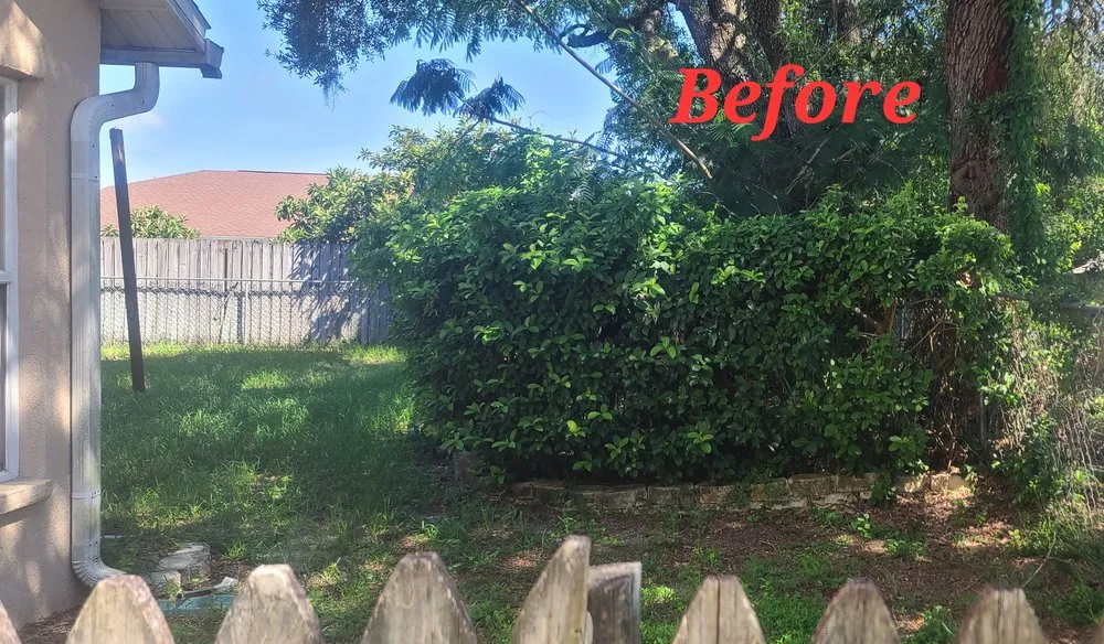 Professional residential landscaping in Brooksville, FL by Springscape