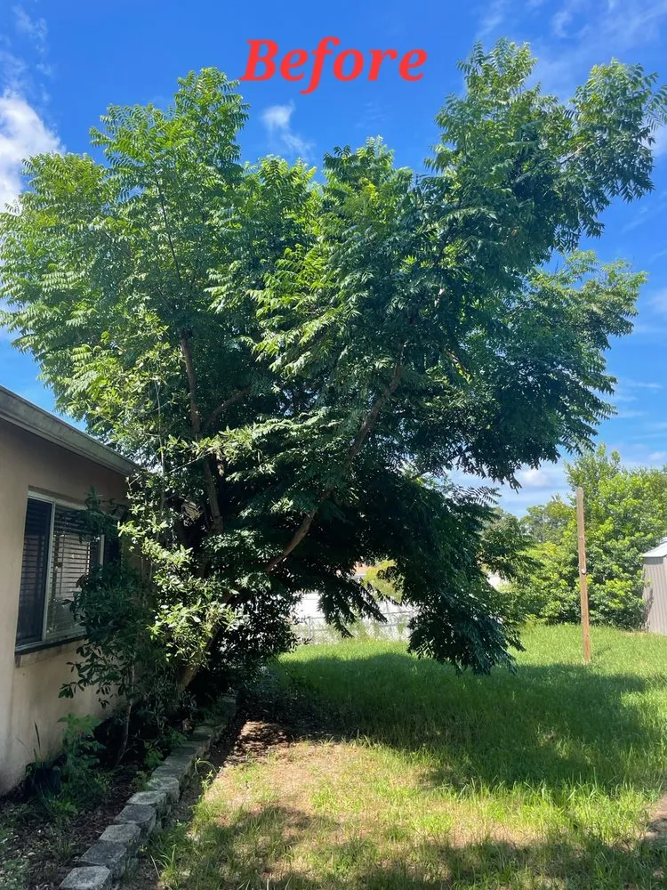 Local lawn care service for outdoor upgrades across Brooksville, FL - Springscape