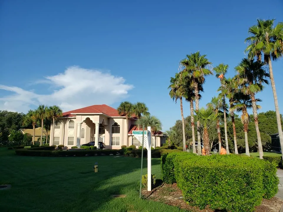 Top-rated outdoor landscaping near you in Brooksville, FL by Springscape