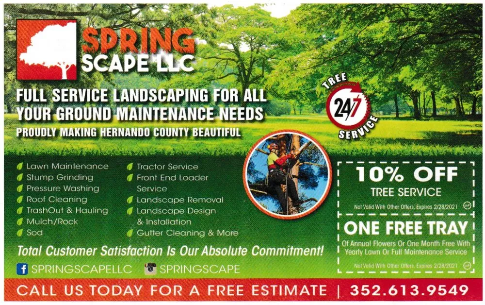 Trusted landscape design experts serving Brooksville, FL - Springscape
