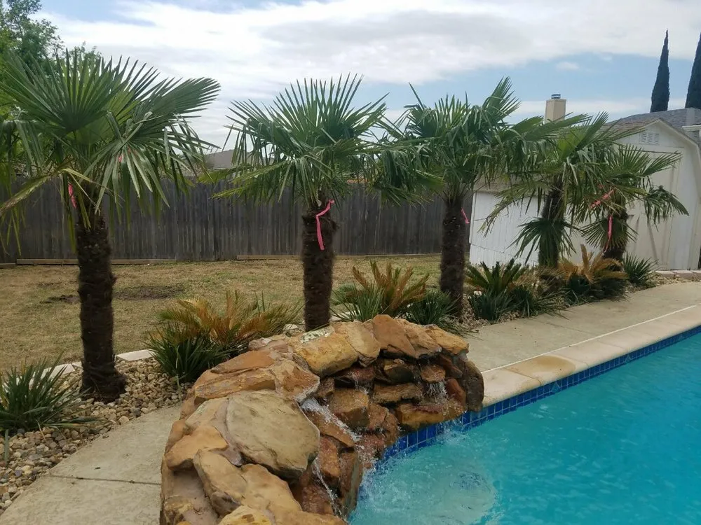 Affordable yard maintenance in Arlington, TX - SpringScapes