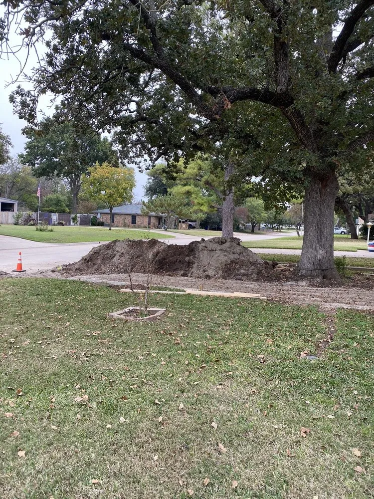 Top-rated landscaping services for outdoor upgrades in Arlington, TX by SpringScapes