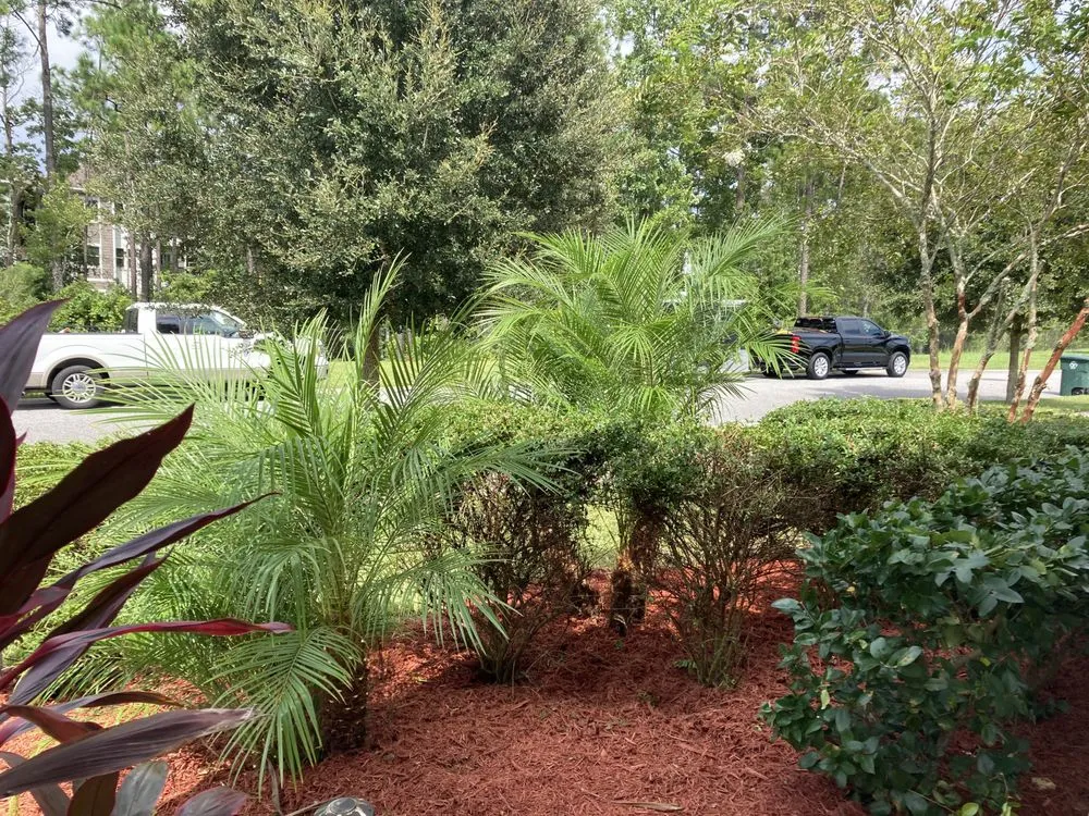 Trusted residential landscaping experts serving Jacksonville, FL - SpringScapes Lawn Care