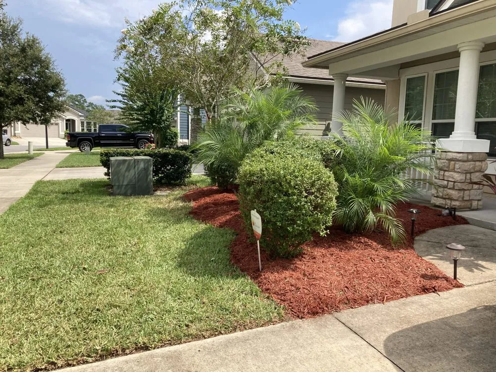 Top-rated yard cleanup service in Jacksonville, FL - SpringScapes Lawn Care