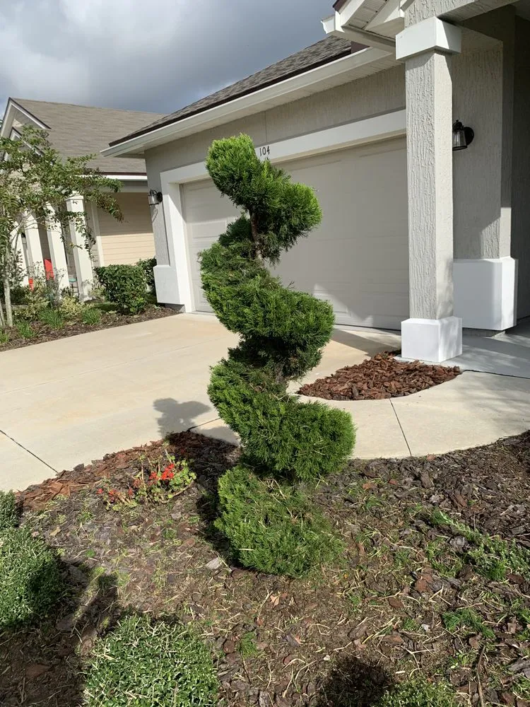 Custom outdoor landscaping in Jacksonville, FL - SpringScapes Lawn Care
