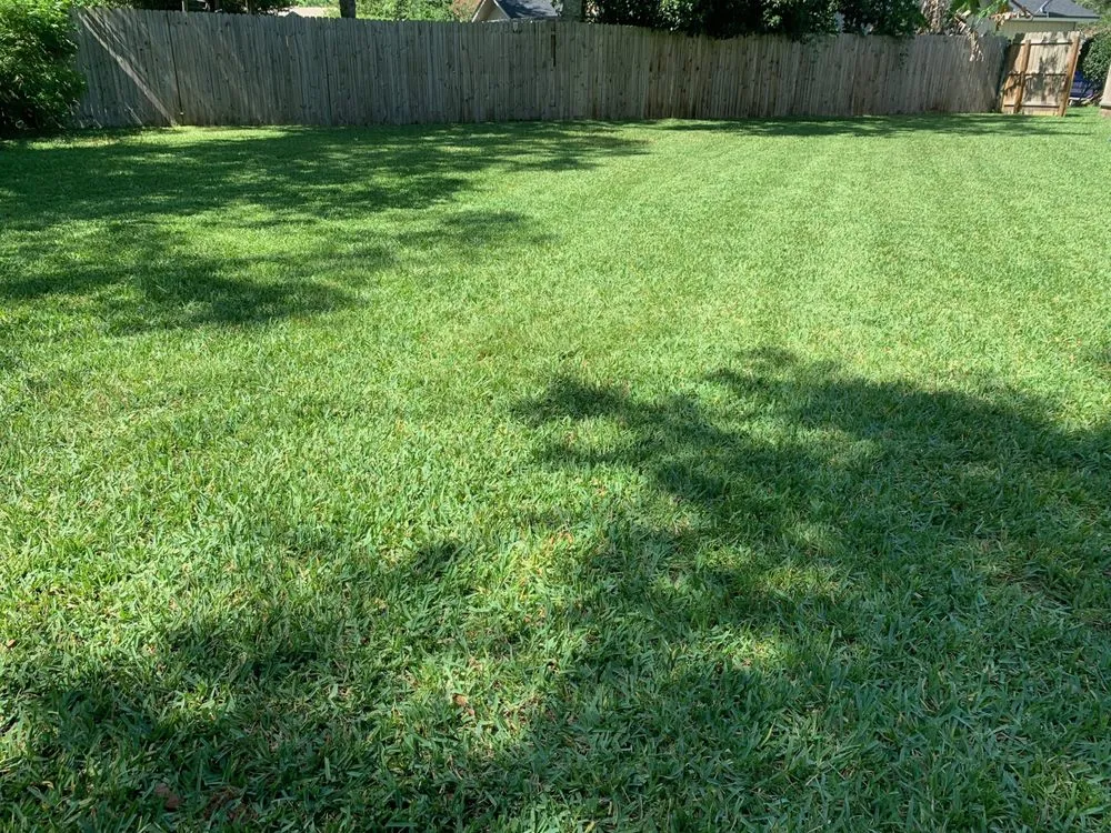 Top-rated landscape installation in Jacksonville, FL - SpringScapes Lawn Care