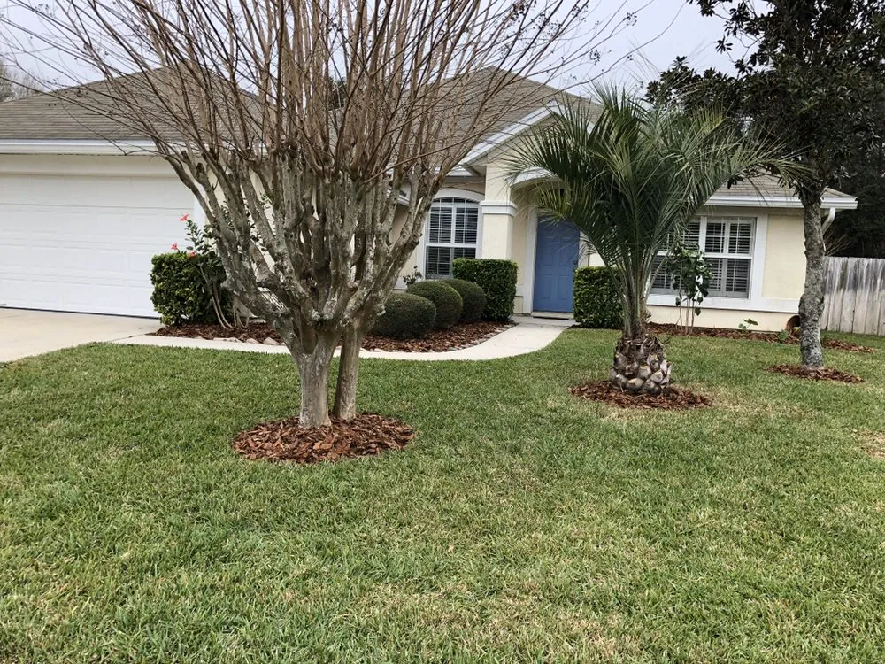 Reliable outdoor landscaping for beautiful yards across Jacksonville, FL - SpringScapes Lawn Care