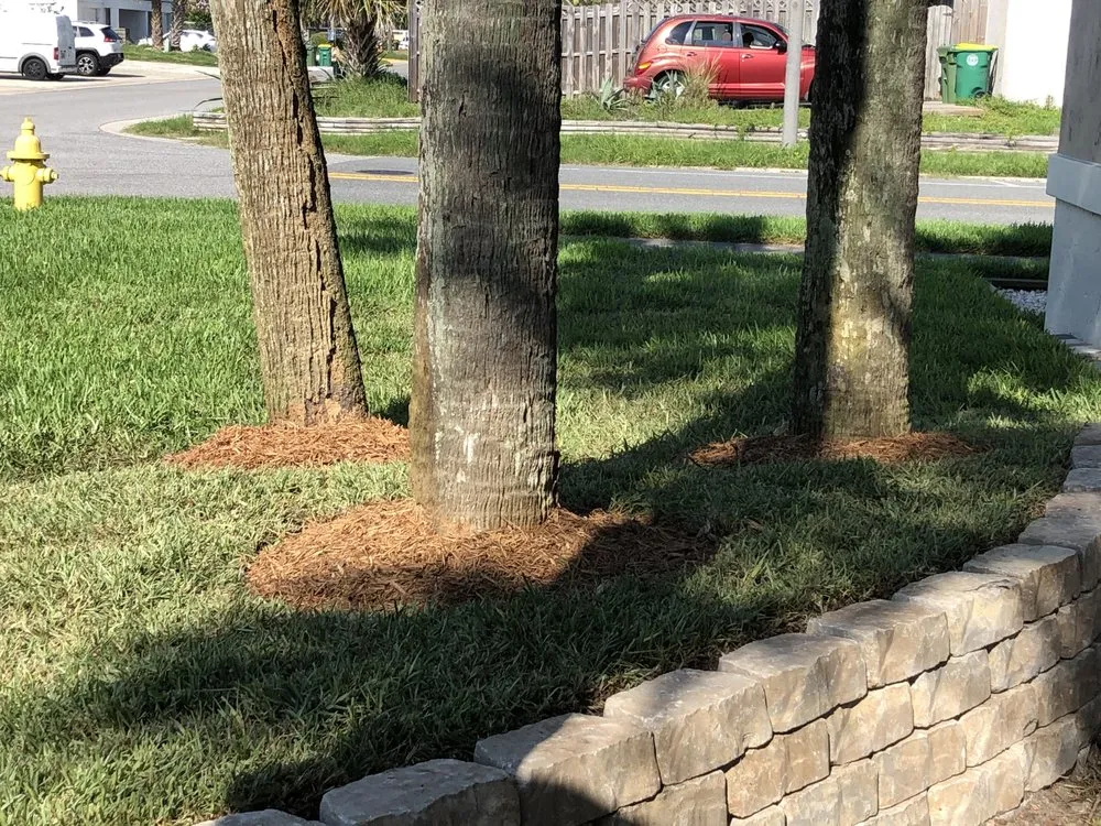 Professional landscape installation for year-round maintenance in Jacksonville, FL by SpringScapes Lawn Care