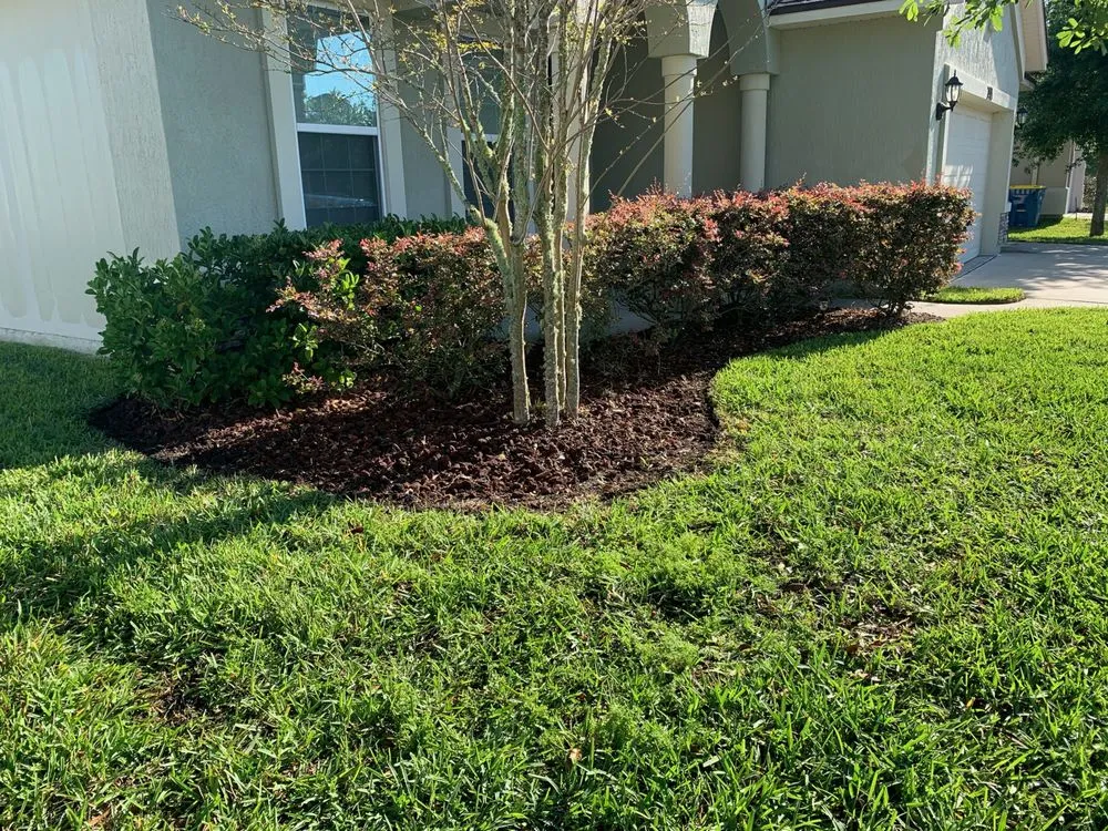 Expert landscape installation in Jacksonville, FL - SpringScapes Lawn Care