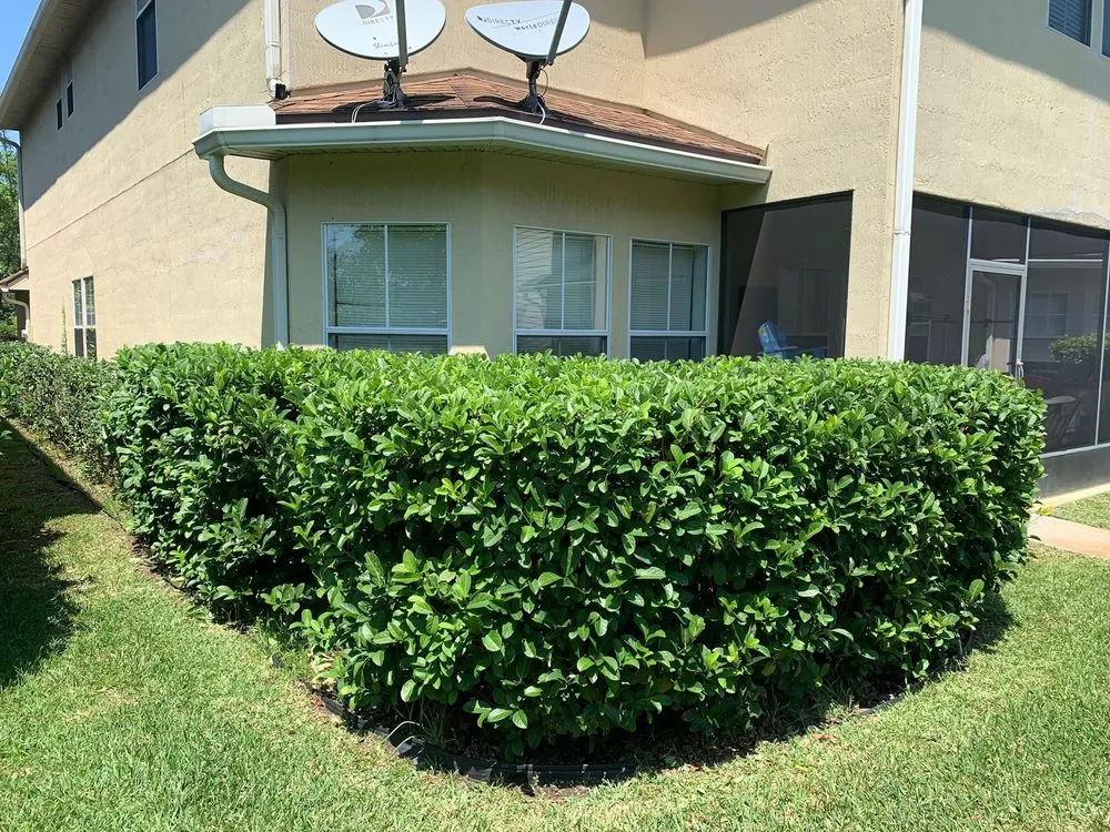 Affordable garden landscaping for beautiful yards across Palm Coast, FL - Springscapes Palm Coast