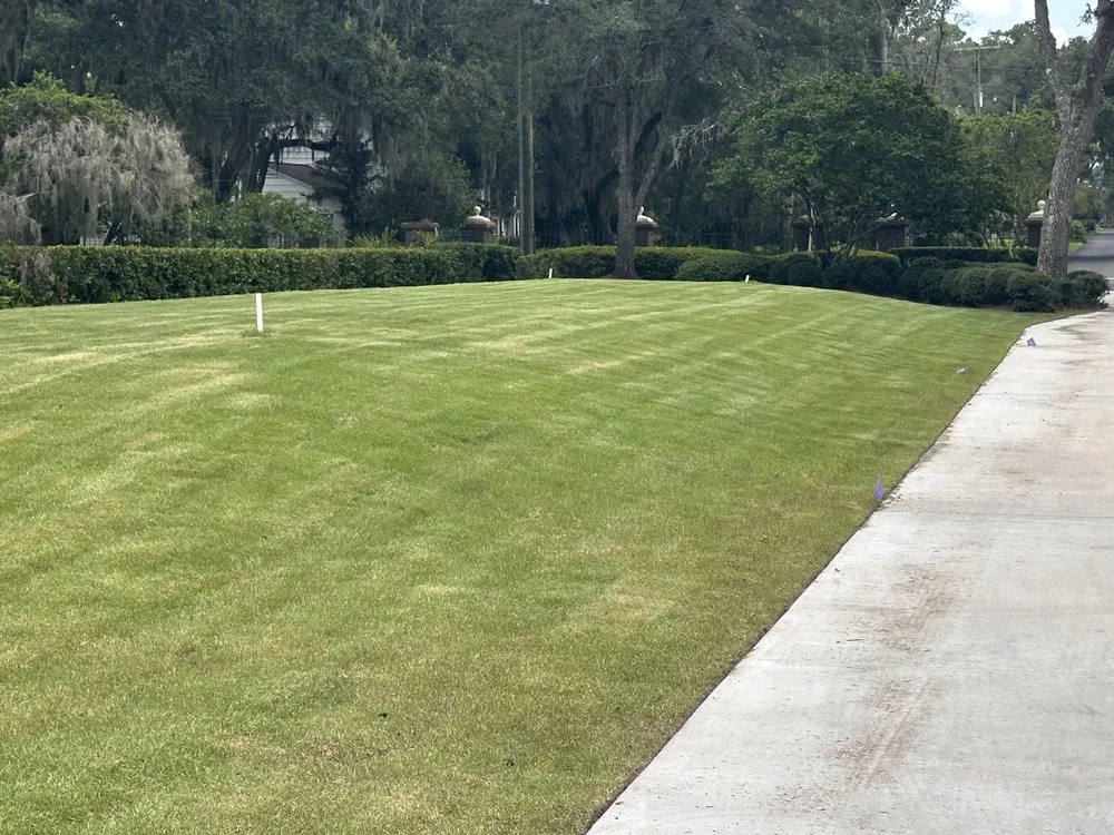 Expert yard cleanup service experts serving Palm Coast, FL - Springscapes Palm Coast