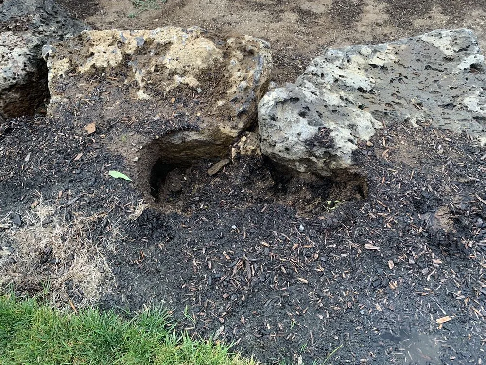 Reliable yard cleanup service in Bend, OR - Springtime Landscape & Irrigation