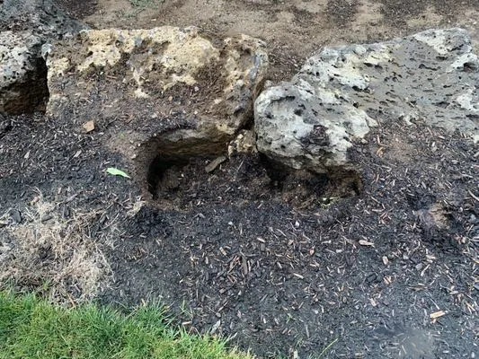 Springtime Landscape & Irrigation Logo