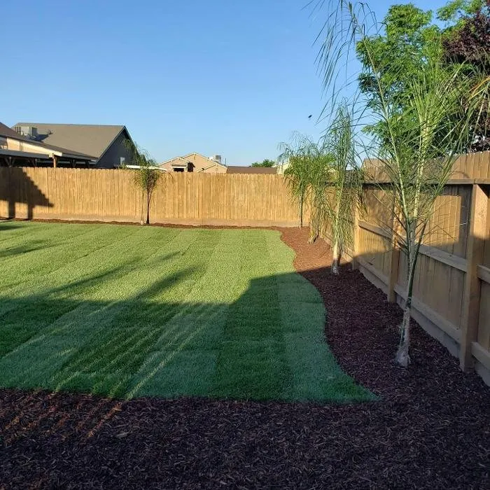 Local yard maintenance in Dinuba, CA by Springtime Landscape Construction