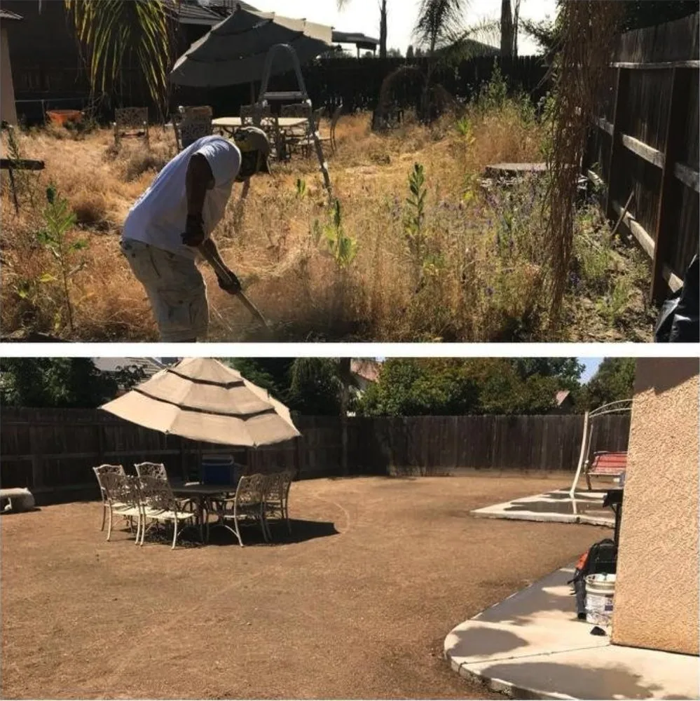 Expert yard cleanup service for year-round maintenance across Dinuba, CA - Springtime Landscape Construction