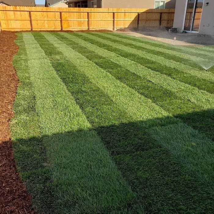 Top-rated outdoor landscaping for year-round maintenance in Dinuba, CA by Springtime Landscape Construction