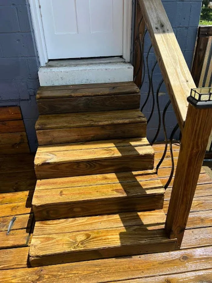 Affordable yard maintenance in Lexington, KY - Springtime Shine