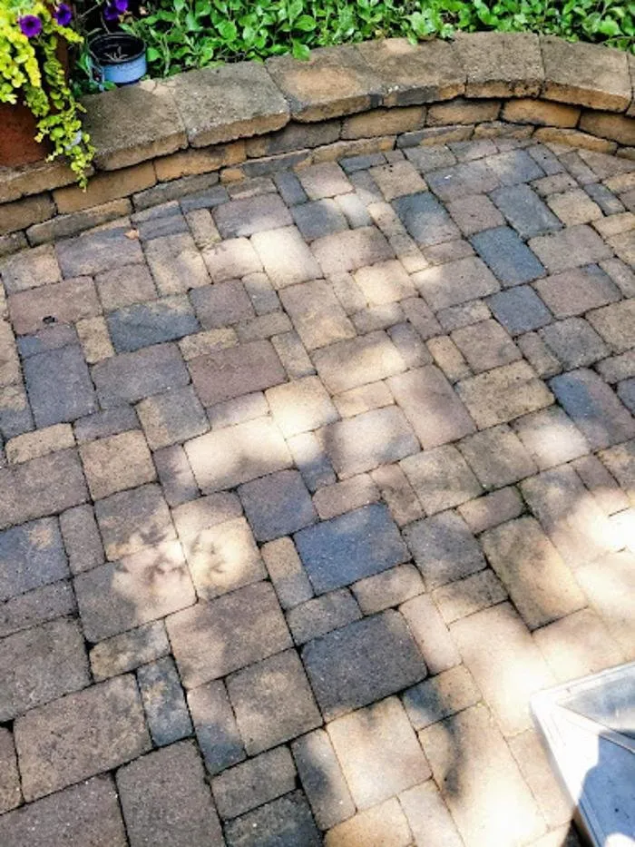 Reliable garden landscaping in Lexington, KY - Springtime Shine