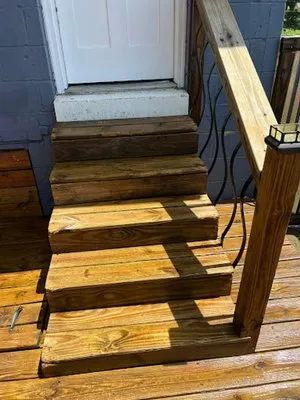 Springtime Shine Logo