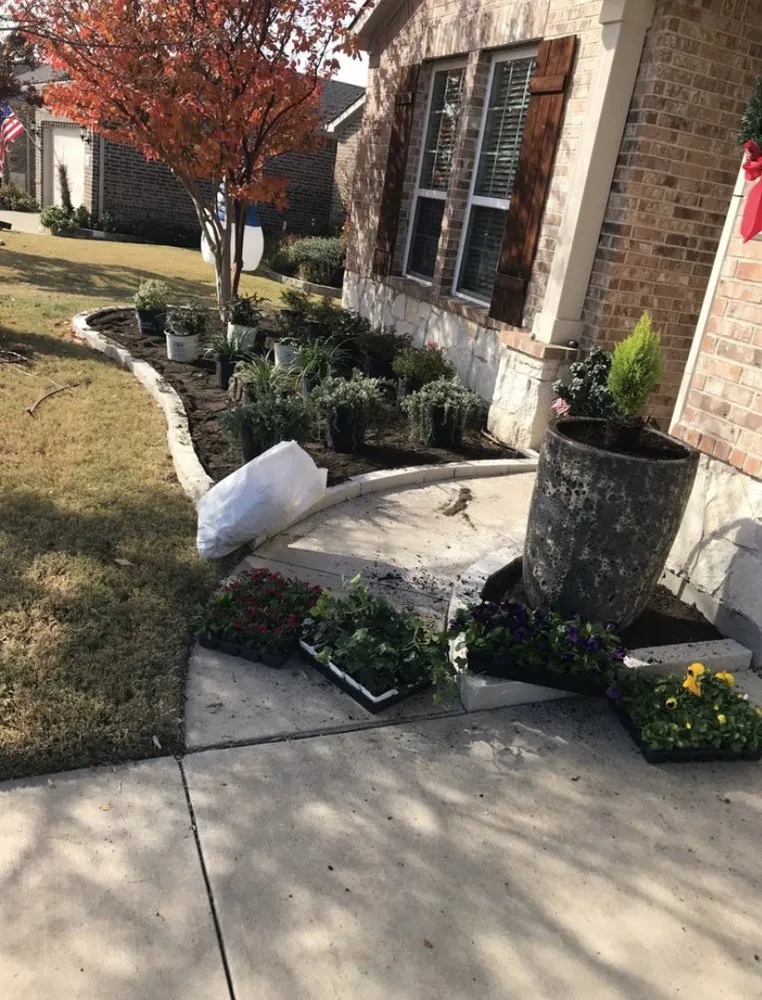 Professional landscaping services experts serving Garland, TX - Springview Landscape