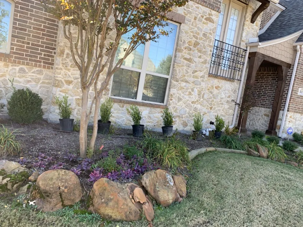 Reliable yard cleanup service experts serving Garland, TX - Springview Landscape