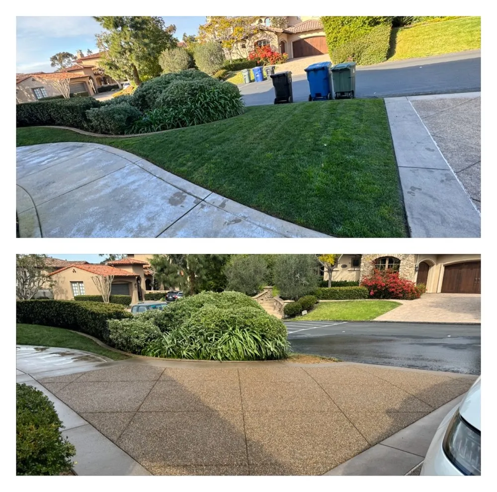 Top-rated residential landscaping experts serving San Diego, CA - SpringView Landscape