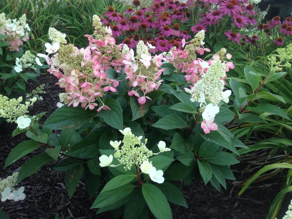 Professional lawn care service near you in Green Bay, WI by Springview Landscape Service