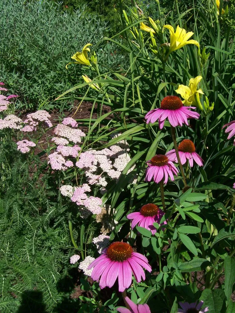 Professional outdoor landscaping for residential properties across Green Bay, WI - Springview Landscape Service