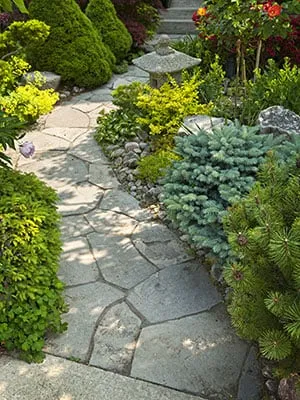 Custom yard cleanup service in Laurel, MD - Springwood Gardens Landscape