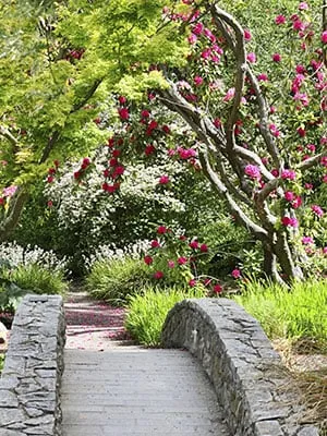 Local garden landscaping experts serving Laurel, MD - Springwood Gardens Landscape