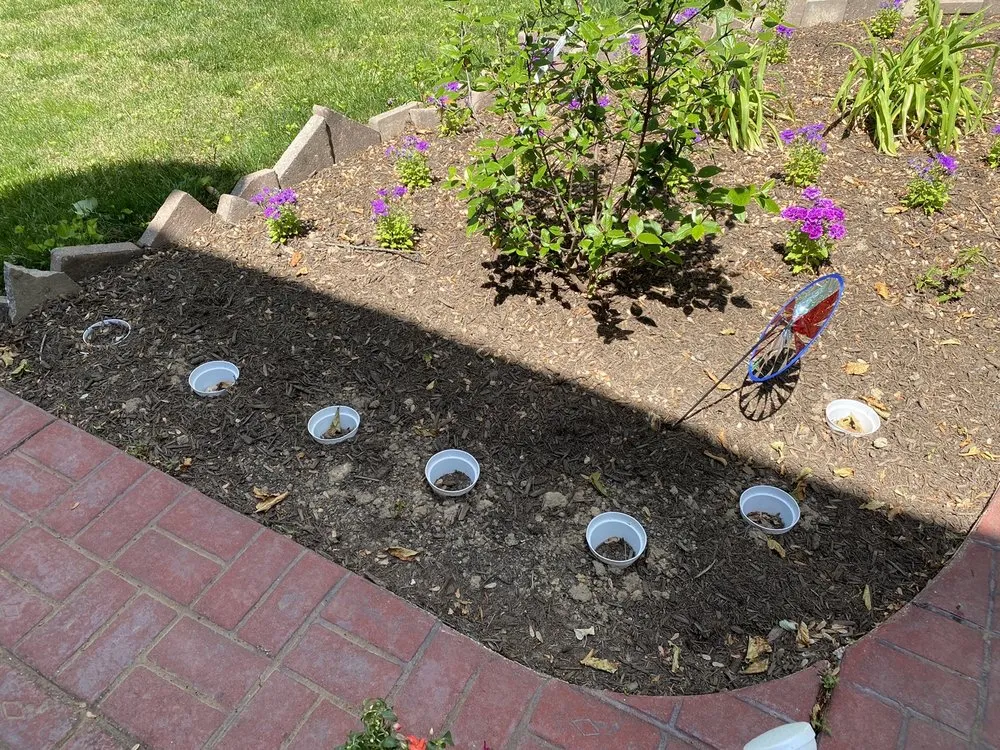 Top-rated garden landscaping for homes in Laurel, MD by Springwood Gardens Landscape