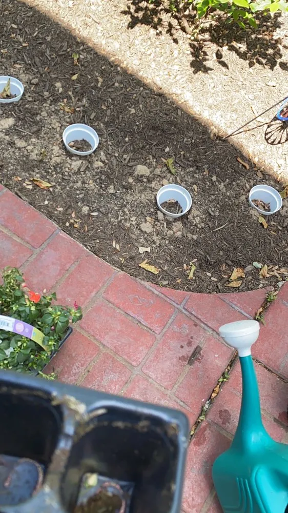 Custom yard maintenance for year-round maintenance across Laurel, MD - Springwood Gardens Landscape