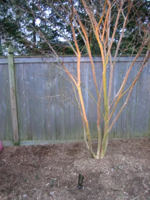 Expert yard maintenance in Bellmore, NY by Sprinkl-Rite Irrigation