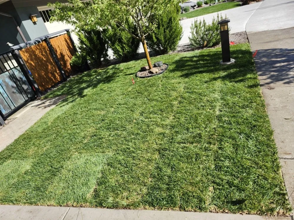 Affordable yard cleanup service experts serving Missoula, MT - Sprinkle Me Sprinklers and Landscape