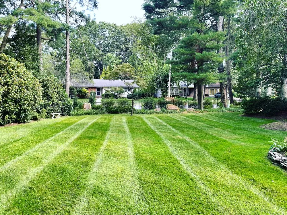 Expert landscape design in Toms River, NJ - Sprinkle Outdoor Services