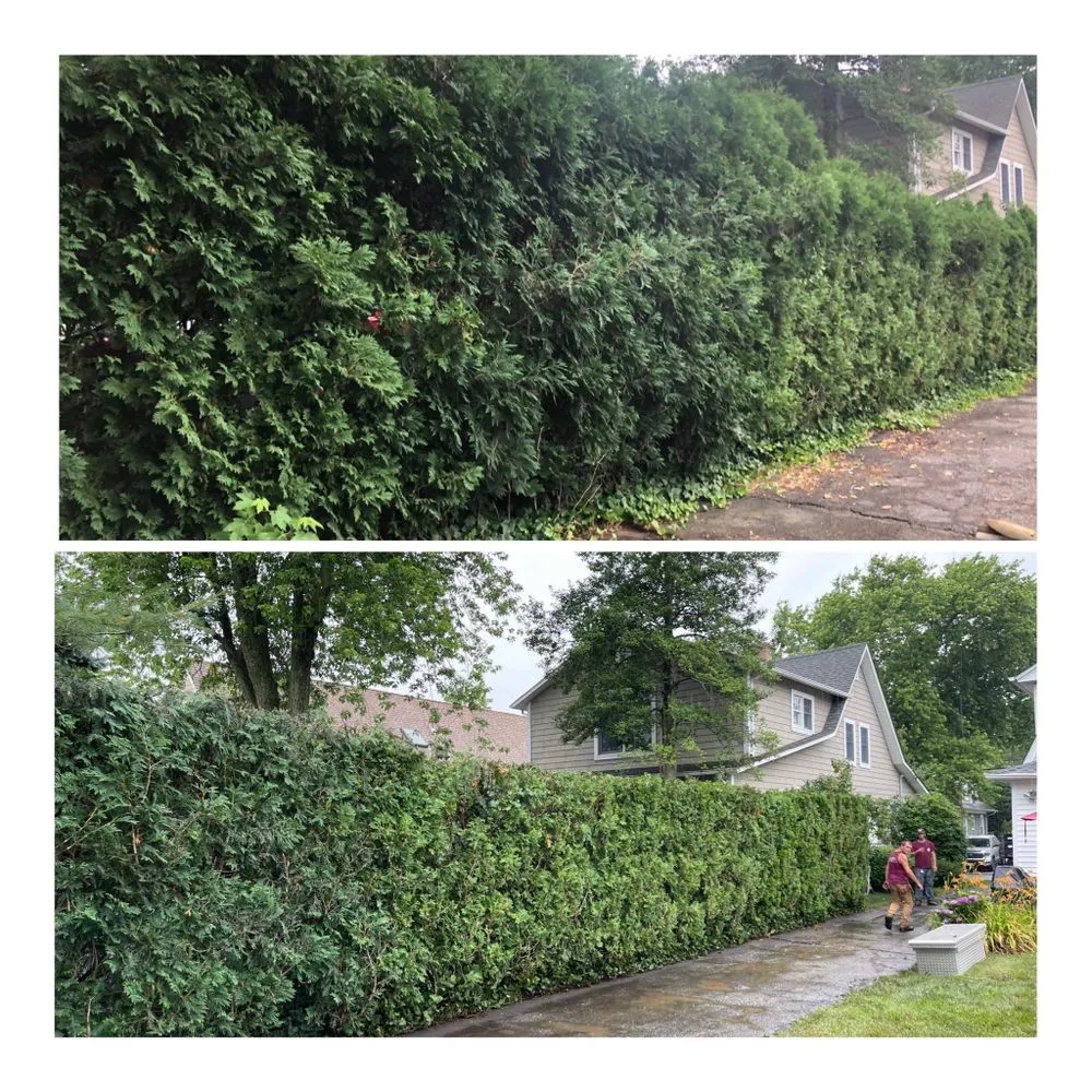 Reliable lawn care service for year-round maintenance in Toms River, NJ by Sprinkle Outdoor Services