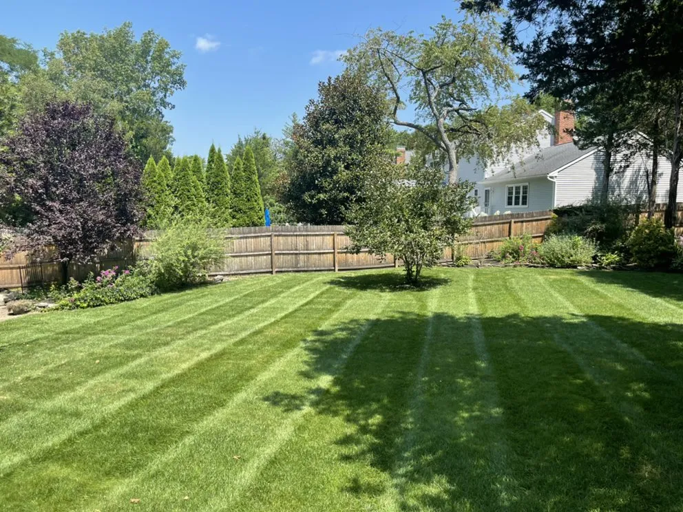 Top-rated yard cleanup service in Toms River, NJ by Sprinkle Outdoor Services