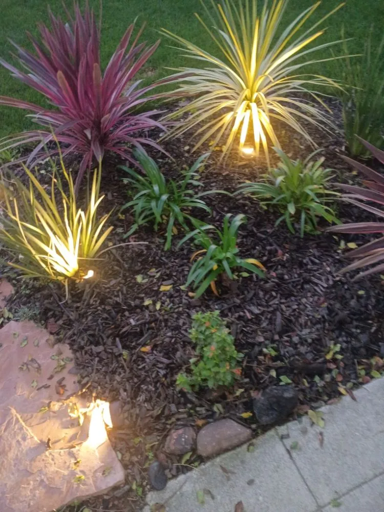 Expert residential landscaping in Los Angeles, CA - Sprinkler And Drip Line