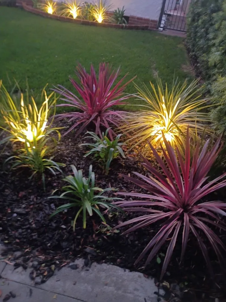 Professional residential landscaping in Los Angeles, CA by Sprinkler And Drip Line