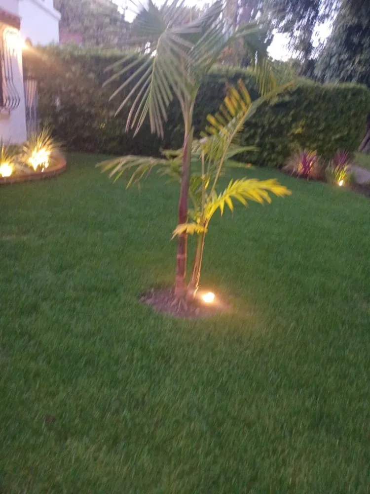 Local lawn care service for residential properties in Los Angeles, CA by Sprinkler And Drip Line