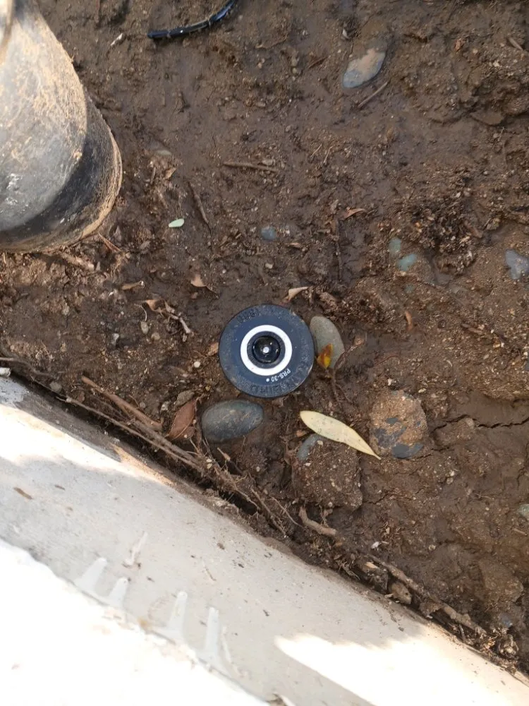 Expert landscape installation in Los Angeles, CA by Sprinkler And Drip Line